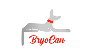 Bryocan